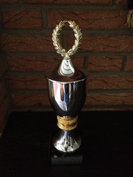 Pokal
